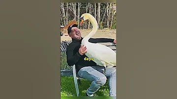 This Man Deserve All The Love 