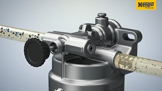 Hengst - Blue Ma Messevideo Von Ink3D