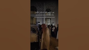 #تلاوة_خاشعة #تلاوة_هادئة #قران كريم #راحة_نفسية يا رب اغفر لي و المسلمين #اللهم_صلي_على_نبينا_محمد