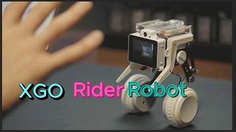 XGO-Rider, World