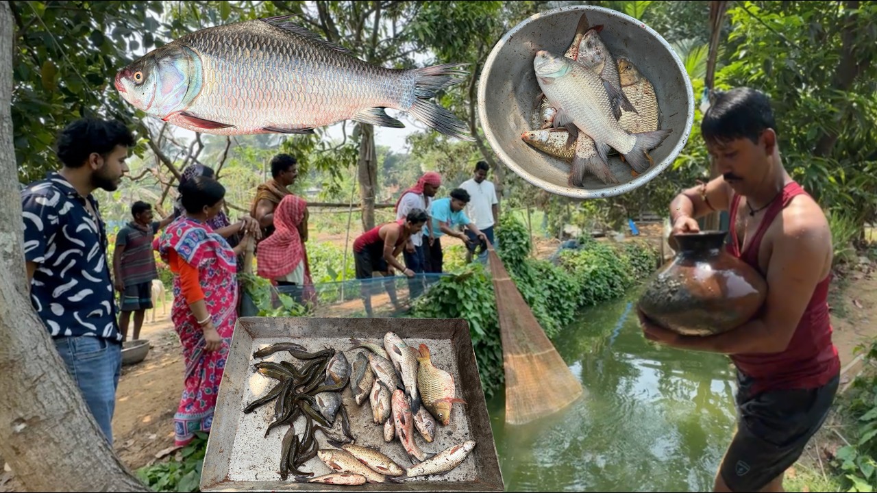 ভাগ্নেদের আবদারের পুকুর থেকে 5 কেজী কাতলা মাছ ধরলাম | আর কত সিঙ্গি মাছ পেলাম দেখুন ||