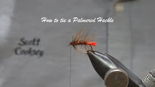 How to tie a Palmered Hackle