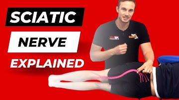 What is Sciatica and What Causes it? Sciatica Explained by a Physiotherapist.