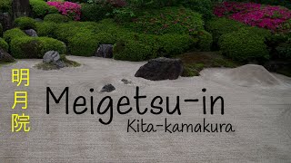 Spring at a Zen Temple | Meigetsu-in | Nikon Z6