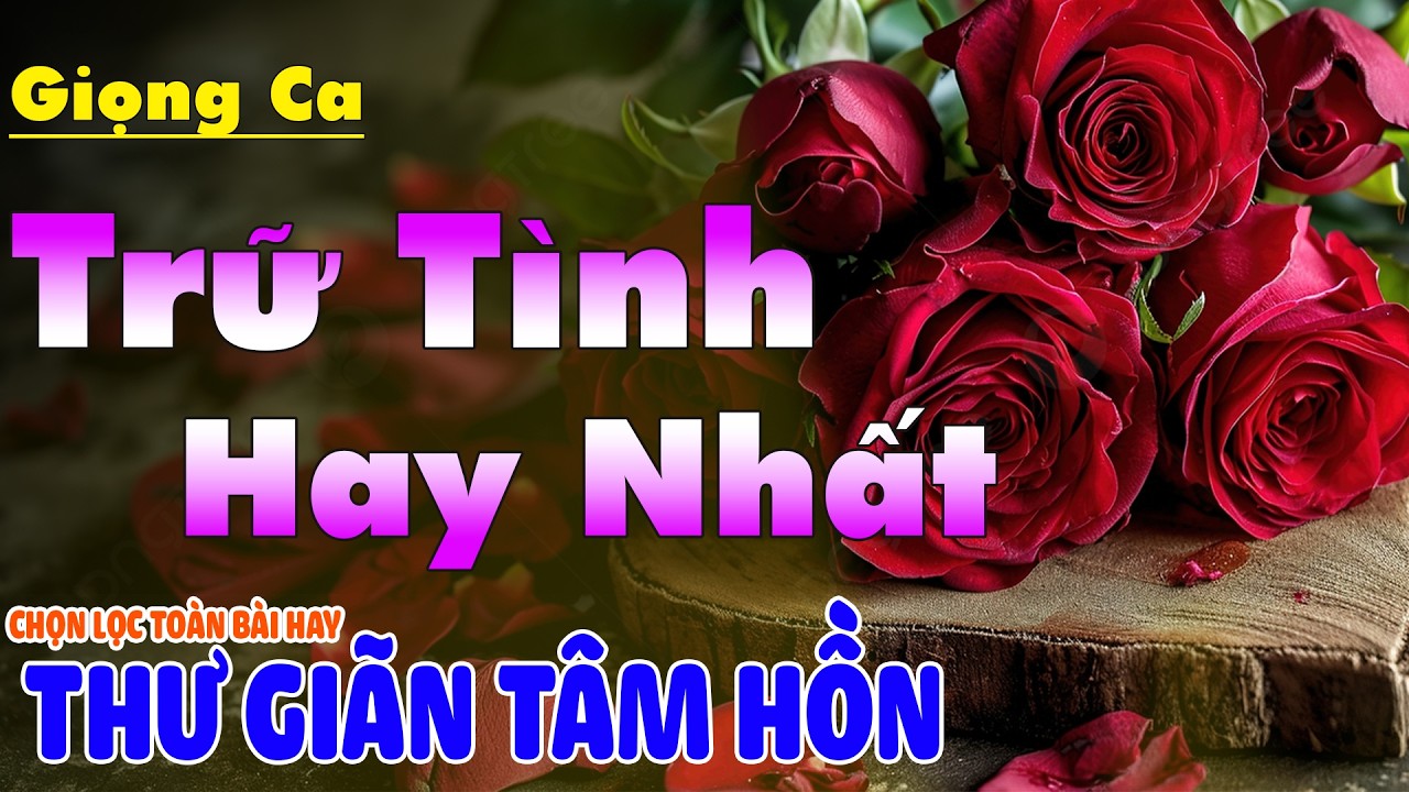 LK Nhạc BOLERO Trữ Tình Hay Nhất Hiện Nay Êm Tai Dễ Ngủ | Nhạc Vàng Xưa Chọn Lọc Đặc Biệt Hay  2026