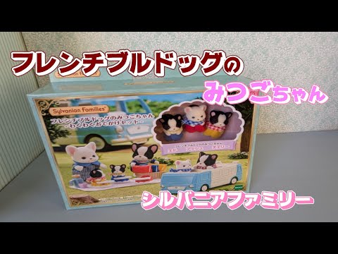 開封 】フレンチブルドッグのみつごちゃん わくわくおでかけ