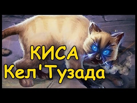 Video: Naslednja širitev Podjetja Hearthstone Bo Dodala Več Kot 100 Kartic