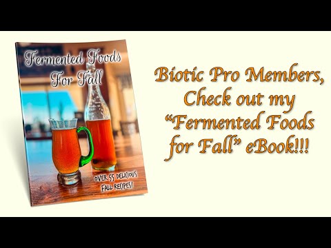 Fermented Foods for Fall 2025 eBook