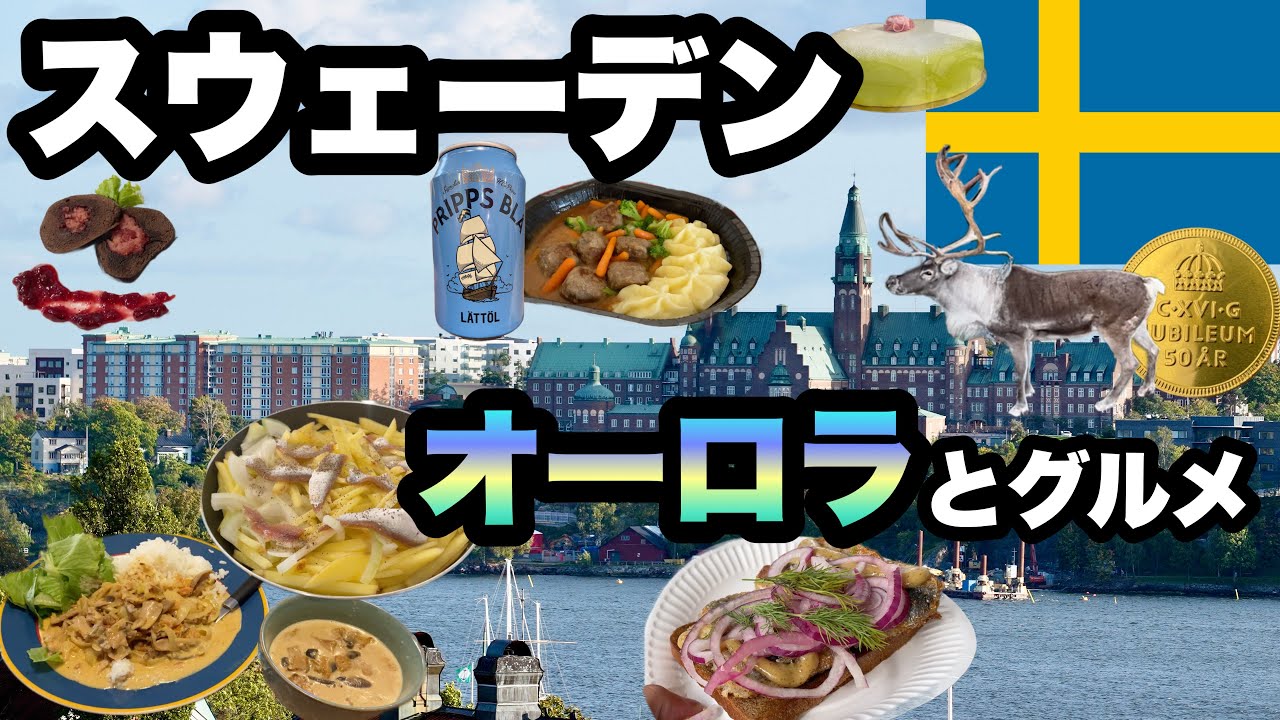 【スウェーデン限界節約旅】最安でオーロラを探す/ 龍の様なオーロラと北の大地のグルメ/ トナカイとヘラジカを見た(動物園)【キルナとストックホルム散策】