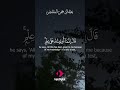 Peaceful Quran Recitation for Deep Soul Healing and Heart Serenity #HolyQuran #SoulHealing