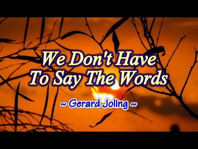 We Don't Have To Say The Words - Gerard Joling (KARAOKE VERSION) class=