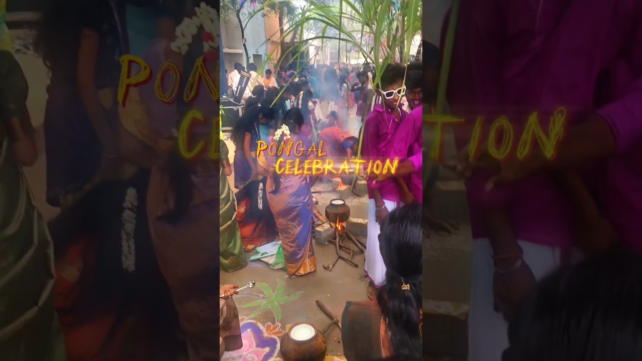 Excel college pongal celebration 2k25🥳🤩