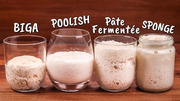 Yeasted Preferments Compared | Biga, Poolish, Pâte Fermentée, Sponge | Which One Is Best?