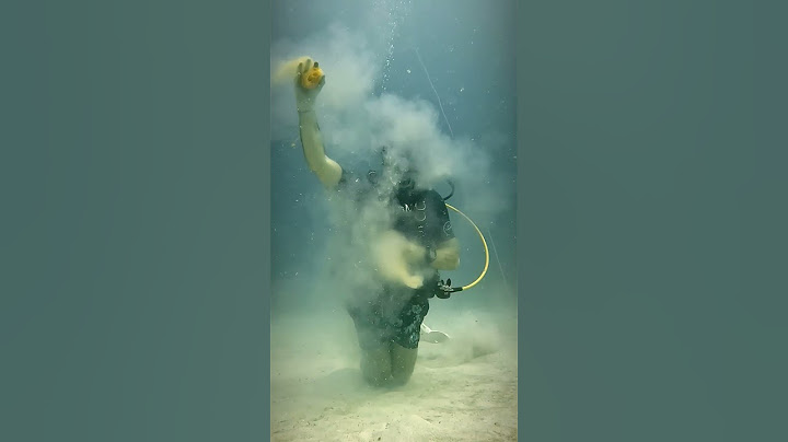 Cracking open an ostrich egg 30 meters under the sea! 👀🤯  -  🎥 Viralhog