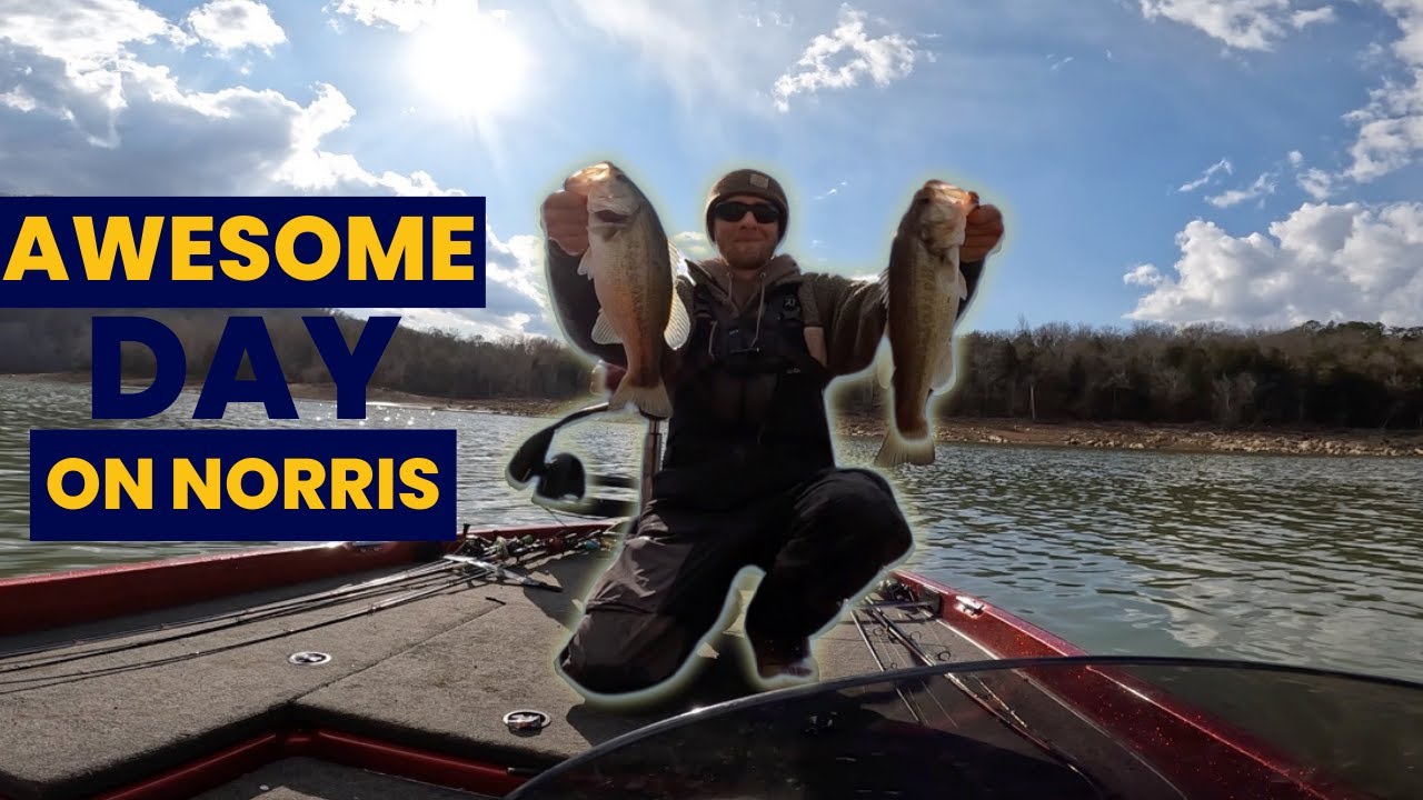 Bass fishing Norris Lake end of February 2024