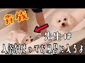 貴族な先生は入浴剤を使ってお風呂に入られます
