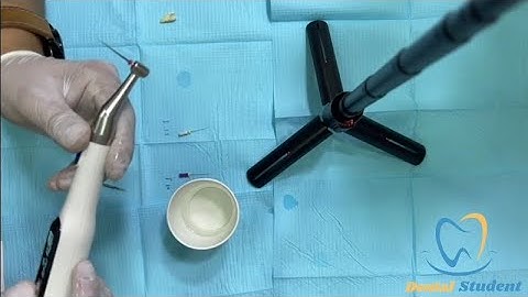 Rotary system From A  to  Z || Cleaning and shaping