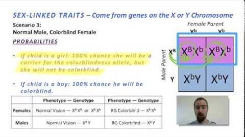 Biology 07-5 Patterns of Inheritance 2