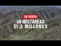 Vendo 49 Hectáreas a 1,5 Millones MXN en Manzanillo Colima México.