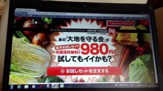 大地を守る会　お試し野菜セット