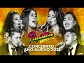 Papilln  bienvenido ao nuevo 2021 concierto virtual  latina tv
