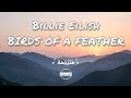 Billie Eilish BIRDS OF A FEATHER مترجمة 