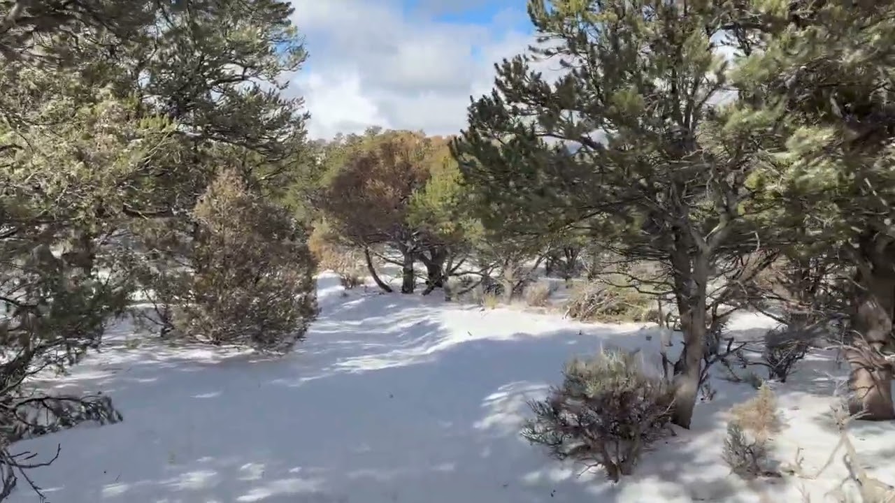 Costilla County - 5.17 Acres in the Sangre de Cristo Ranches