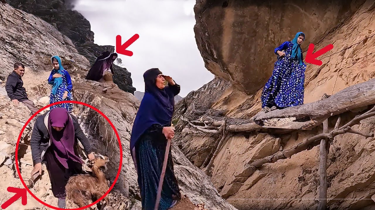 Big trouble for doora family to find the goat on a dangerous path 🐐🔍😱