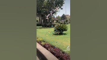 (خَلَقَ ٱلۡإِنسَـٰنَ مِن صَلۡصَـٰلࣲ كَٱلۡفَخَّارِ)[سورة الرحمن ]Gamal Belkan