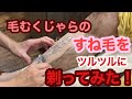 モジャモジャのすね毛剃りに初挑戦‼️（理容師チャンネル）