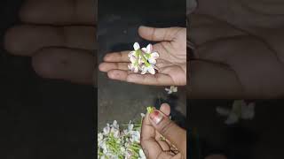 Making Beautiful Flowers flowe beutiful