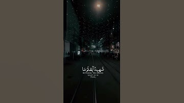 قران كريم|تلاوة عبدالرحمن مسعد|حالات واتساب"سورة العنكبوت"