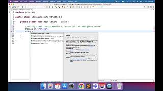 String class CharAt method | Java Net Worth