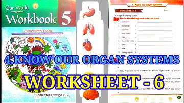 # WORKSHEET - 6# Excretory system#  CLASS - 5 # KNOW OUR ORGAN SYSTEMS # CHAPTER - 4 # OUR WORLD #
