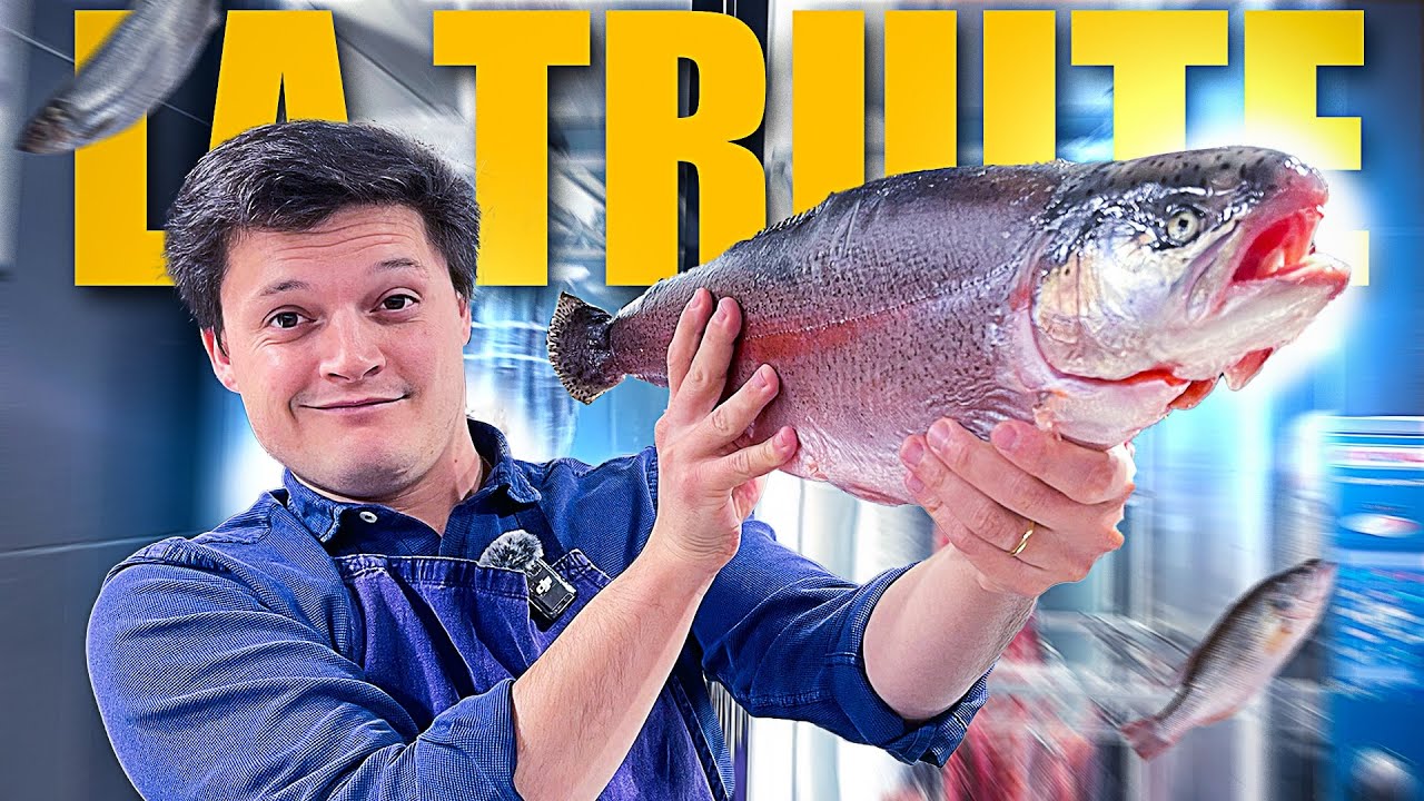 Comment préparer correctement le SAUMON/ la TRUITE ?