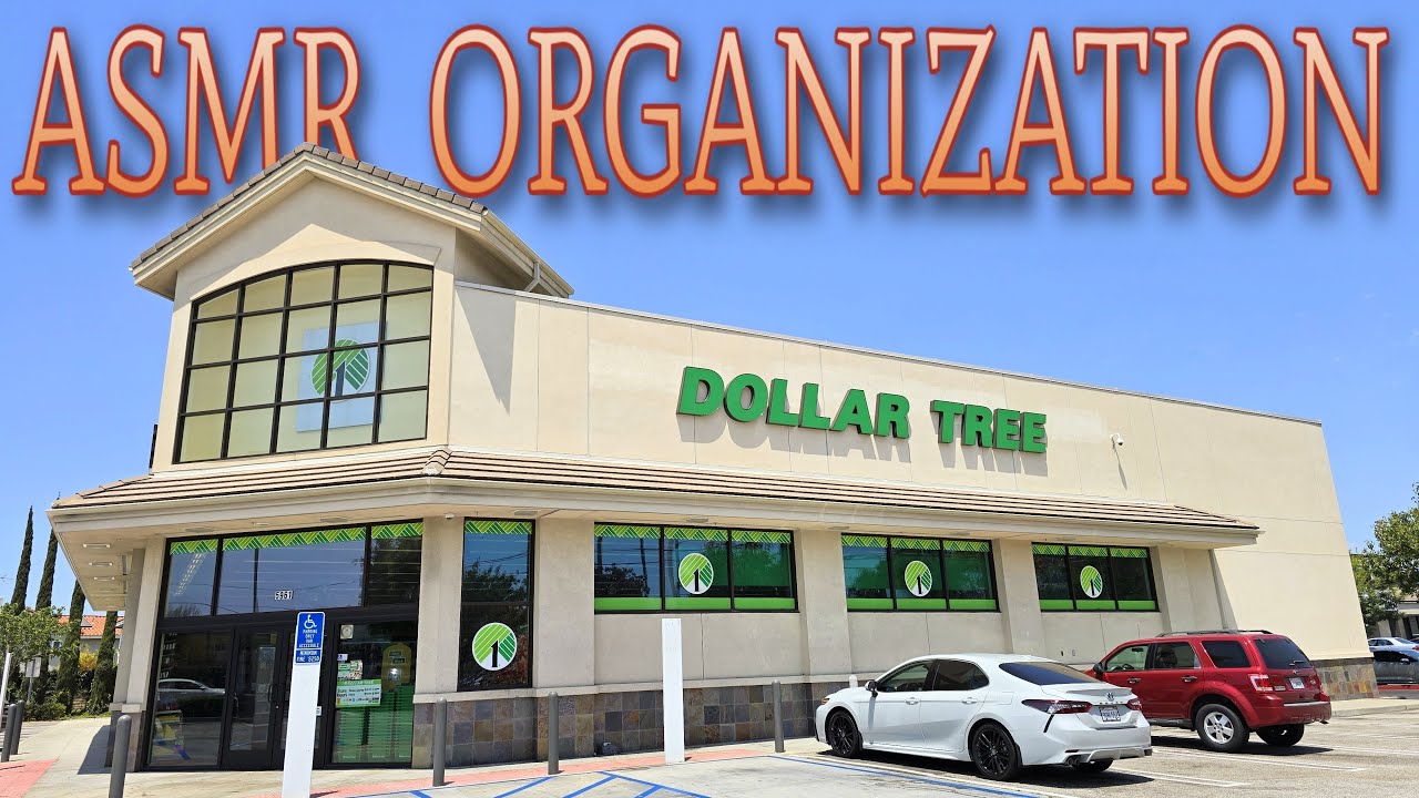 [ASMR] Organizing Shelves at Dollar Tree! (Part 4) 💵🌳✨