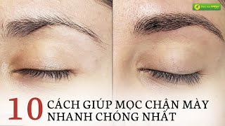 Top 9 Cách Làm Lông Mày Đẹp Tại Nhà Mới Nhất Năm 2022