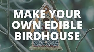 Easy Does It: DIY Edible Birdhouse | HGTV