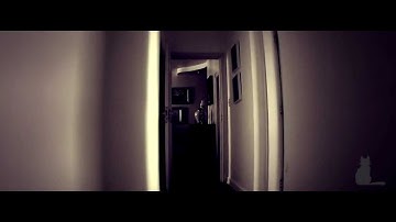 Drowning Pool - Paralyzed