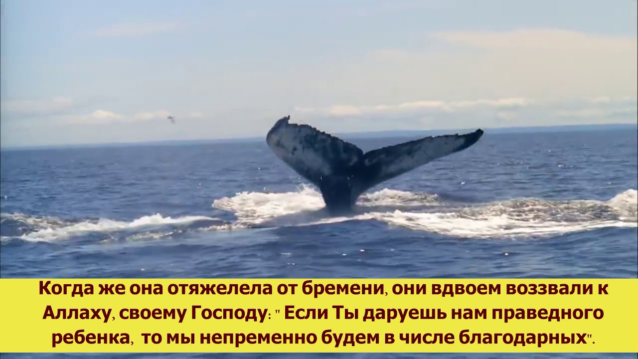 Аль а раф
