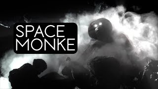 SPACE MONKE! (Would you worship him?) [TTC]