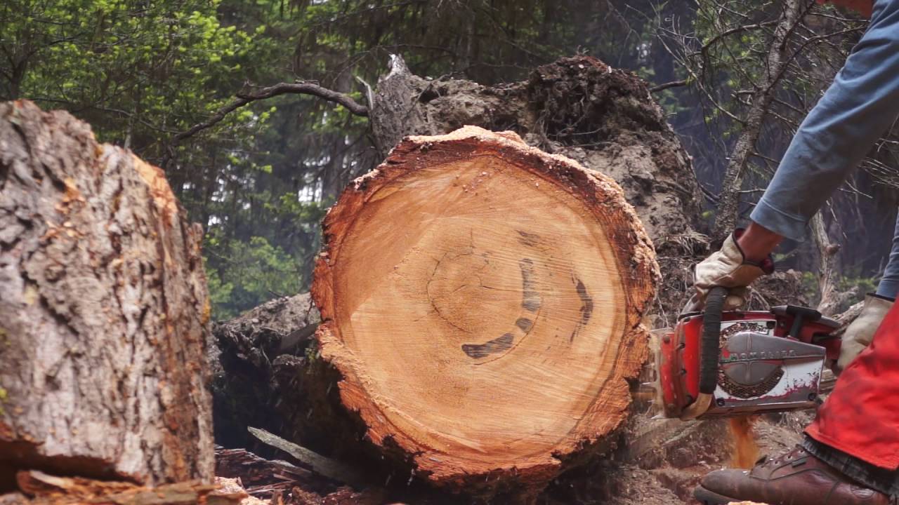 Homelite XL-902 - YouTube