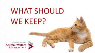 Lessons Learned in Animal Welfare from the COVID 19 Response and Not All Bad