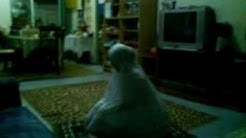 hantu acik  - Durasi: 1:13. 