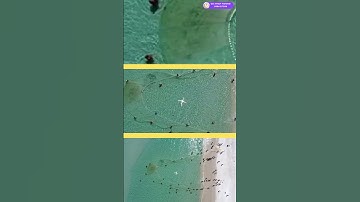 24h đầu tiên với lưới kéo cá biển, bắt cá cực chất. Net fishing, fishing net, catfishing #shorts