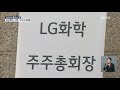 LG화학 배터리 분사, 국민청원까지…개미들 ´원성´ 왜 / SBS