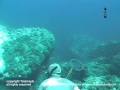 Le stagioni della pesca in apnea part4 video ufficiale Totemsub Video