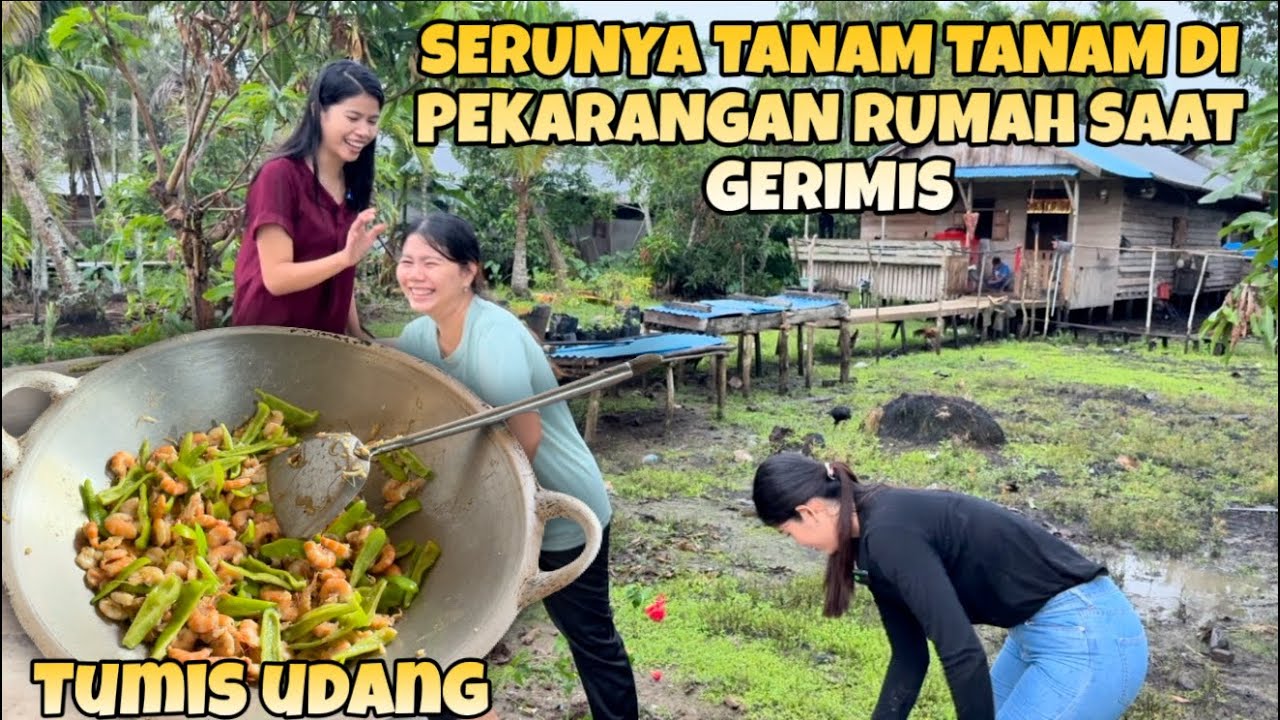 MASAK TUMIS UDANG CABE BESAR DAN MENANAM BEBERAPA JENIS TANAMAN DI PEKARANGAN RUMAH