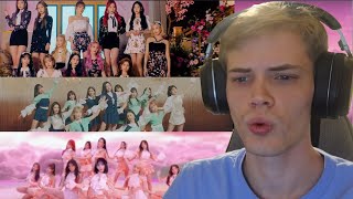 Starting My Izone Journey Panorama, Violeta, And Secret Story Of The Swan Mv Reactions