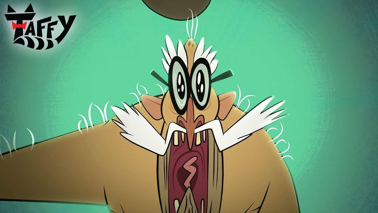 Raccoon Ronald is on the Hunt! 🦝 Can Taffy Escape?! | Taffy